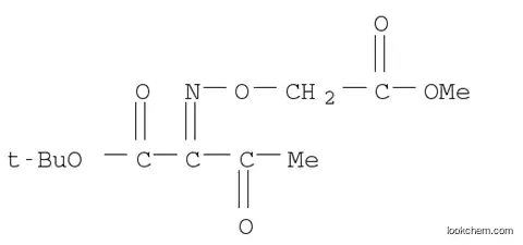 Molecular Structure of 268544-50-9 (2-[(2-Methoxy-2-oxoethoxy)imino]-3-oxobutanoic acid 1,1-dimethylethyl ester)